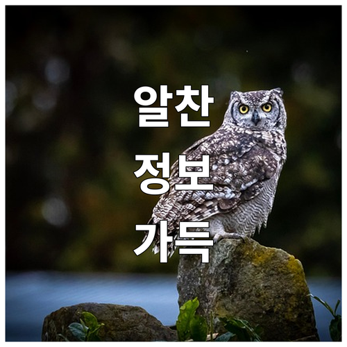 엔진 오일 교환 주기 완벽 분석 내 