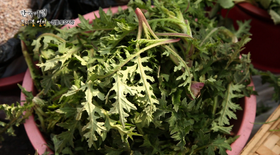 민들레_주의사항