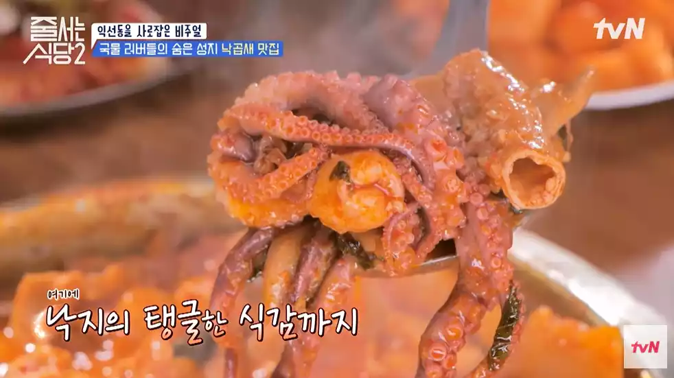낙지