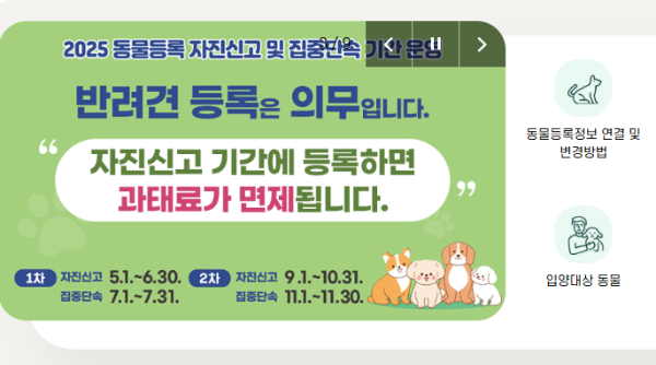 반려견 등록 신청