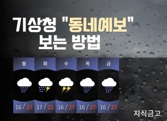 동네 예보 초단기 강수 돌발 소나기 대비 이동 팁_12