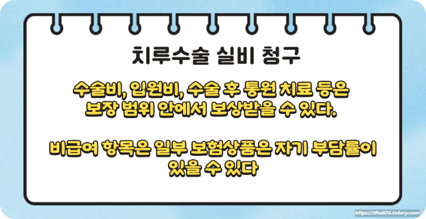 치루수술 실비보험 청구 대상