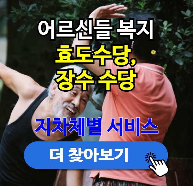 효도수당 장수수당, 우리 부모님도 받을 수 있을까