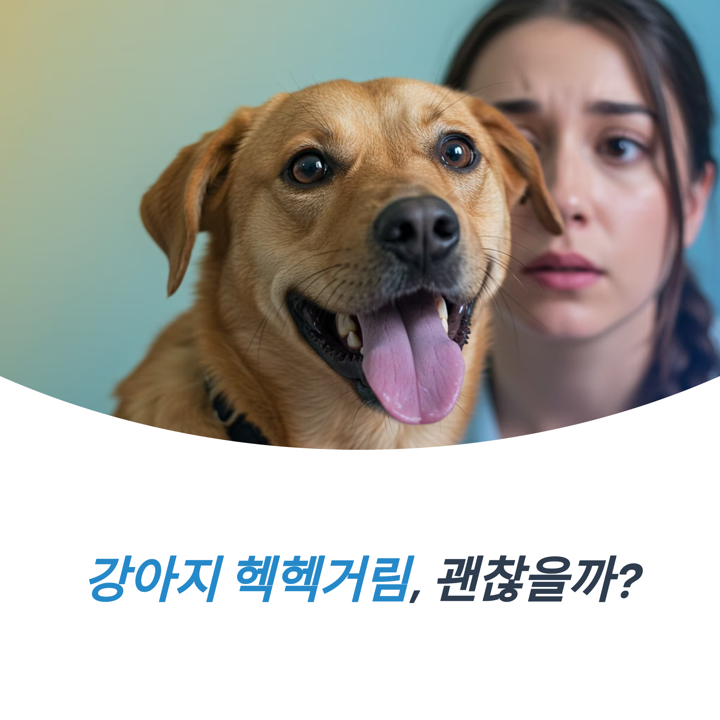 강아지 헥헥거림 이유 징후 관련된 원인 대처법 응급 조치