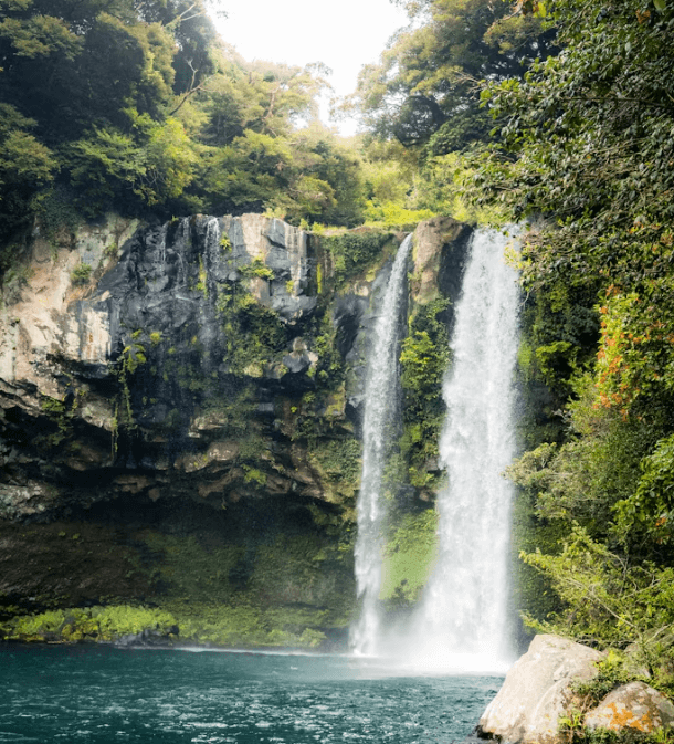 제주 렌트카: 전기차 vs 내연기관 &자차보험 총정리!