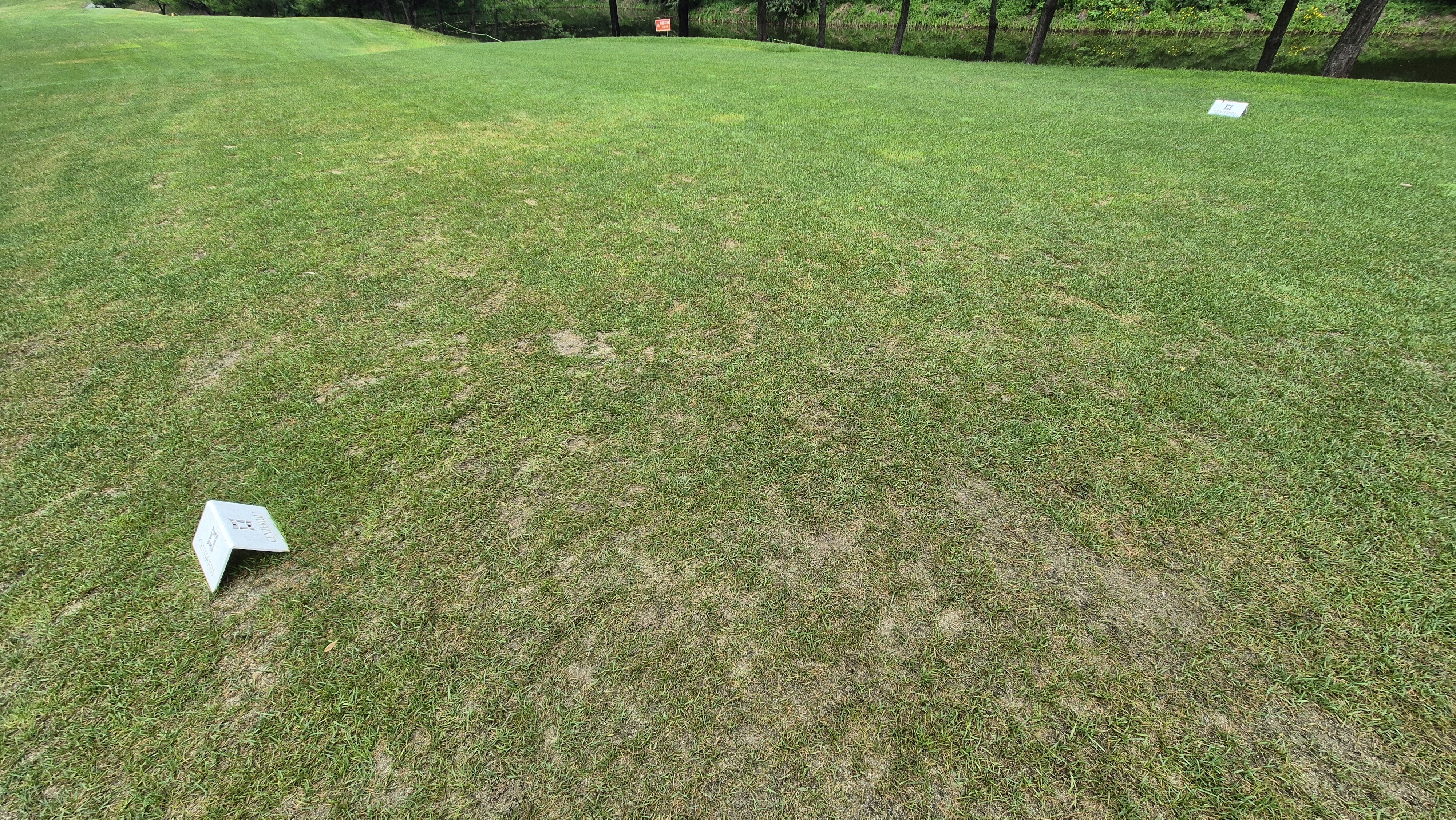 센테리움cc 스코틀랜드-웨일즈 코스 라운드 후기