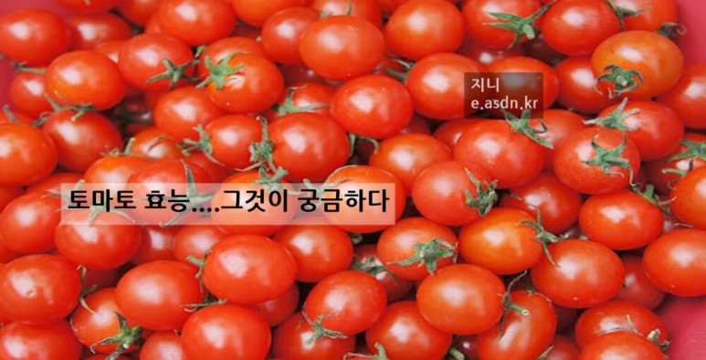 토마토 효능 12가지와 부작용 총정리