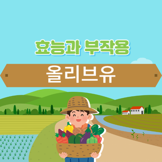 올리브 유 효능과 부작용