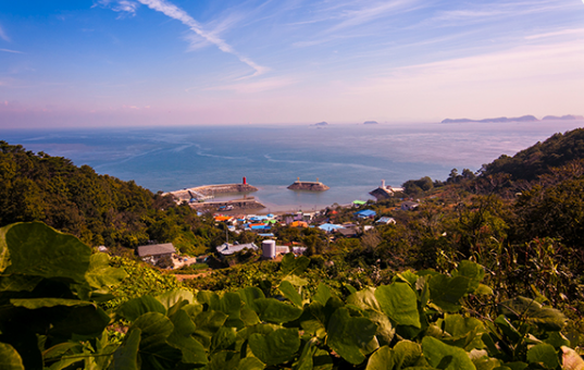 사진