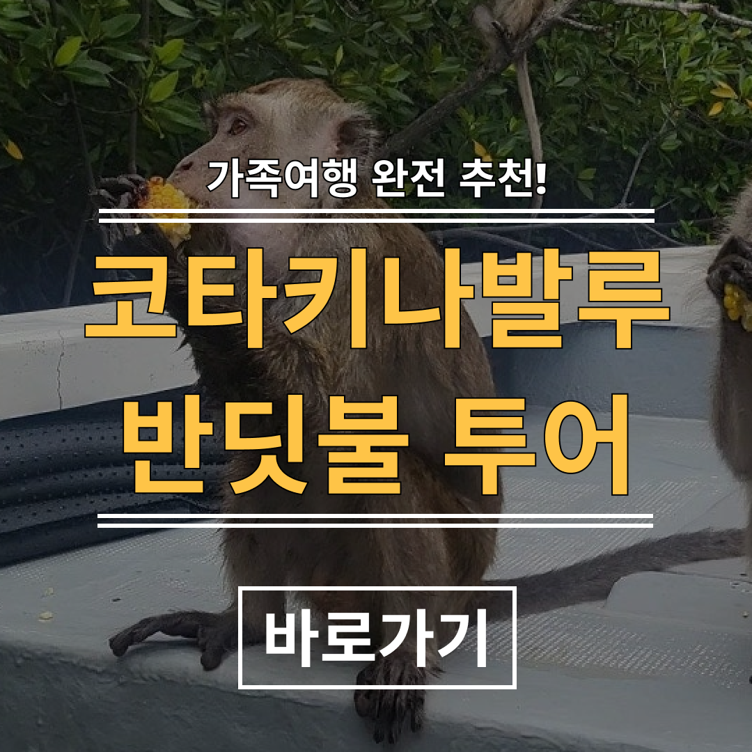코타키나발루반딧불투어 위치 섬투어 자유여행
