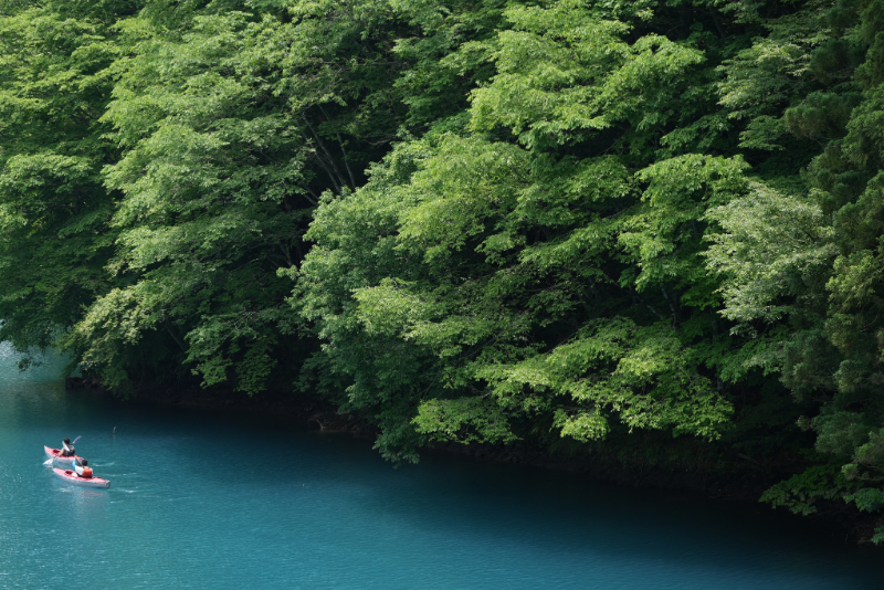 Alpha 7 IV로 촬영한 풍경 사진