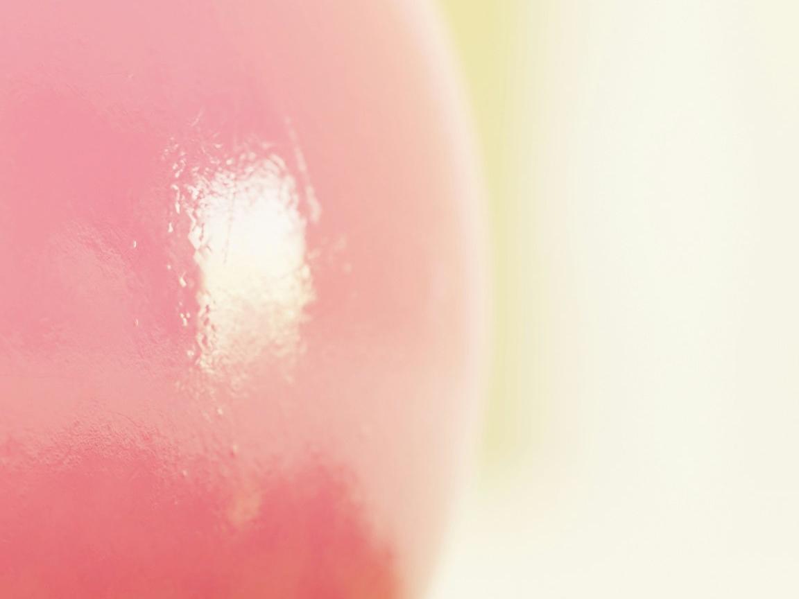 은행신용조회 발급방법 발급기관 