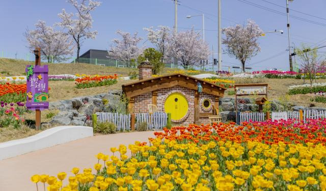 튤립 명소 세천늪테마정원🌷 가는길 부터 애견동반 꿀팁까지!