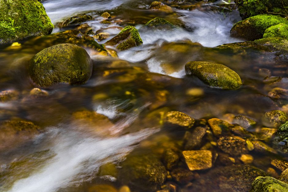 Tranquil stream with mossy rocks and smooth water flow, captured in a lush natural setting.
