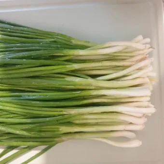 텃밭 부추 쪽파 재배 다년생 관리 수확주기 웃거름 월동_5