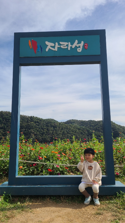 자라섬 꽃페스타