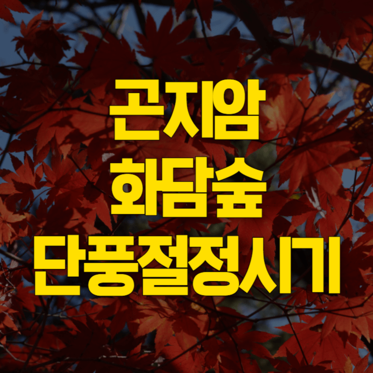 화담숲-단풍-절정-시기-대표사진