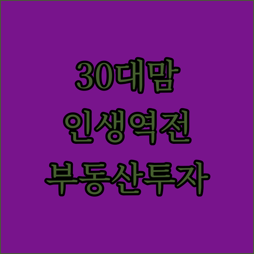 30대 애엄마 부동산 투자로 인생 역