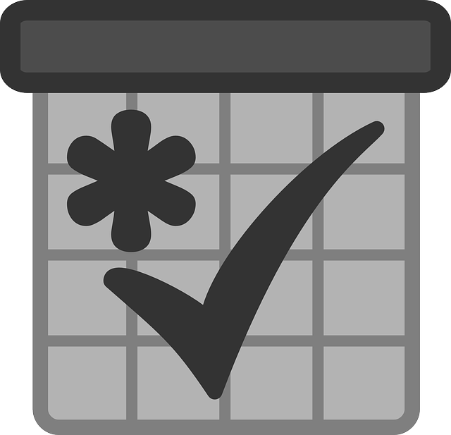 2025년 벚꽃 개화시기 명소