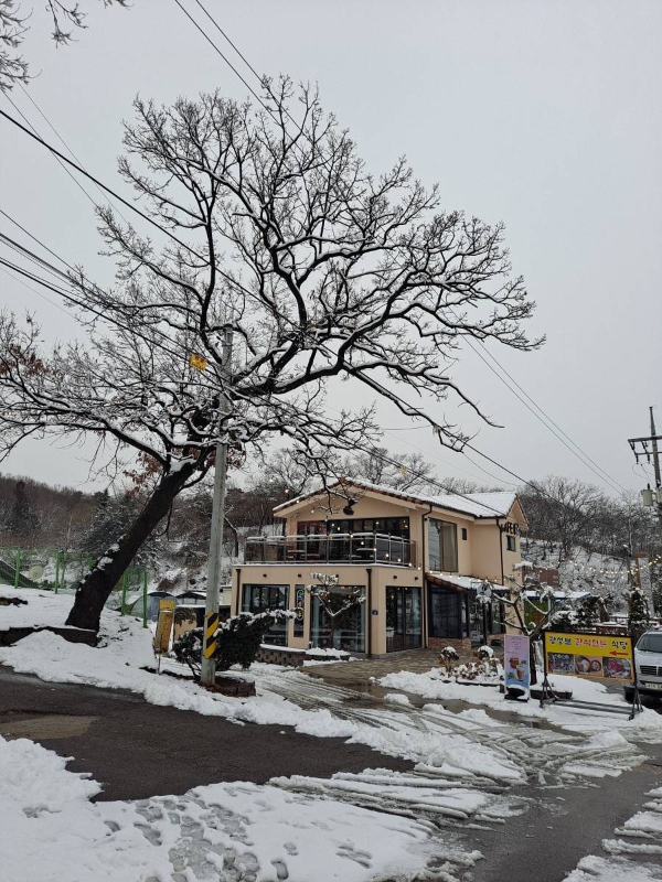 광성보 카페 옆 골목길