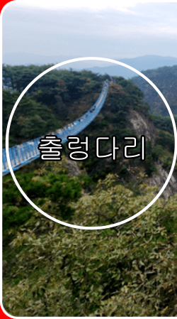 원주 소금산 출렁다리 