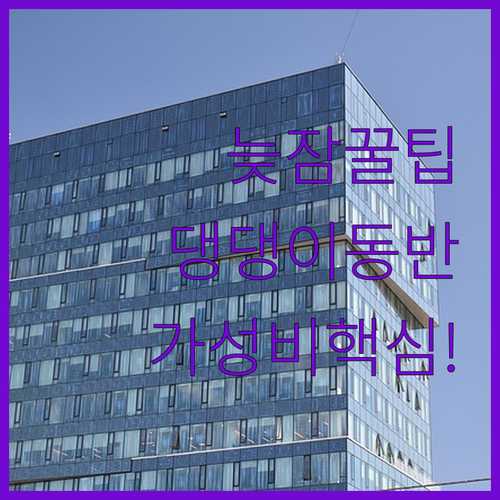 늦잠 가능 14시 체크아웃 반려동물 ..