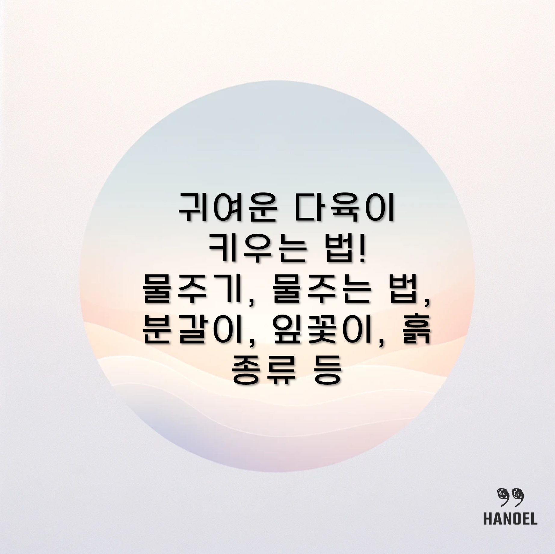귀여운 다육이 키우는 법! 물주기, 물주는 법, 분갈이, 잎꽃이, 흙 종류 등