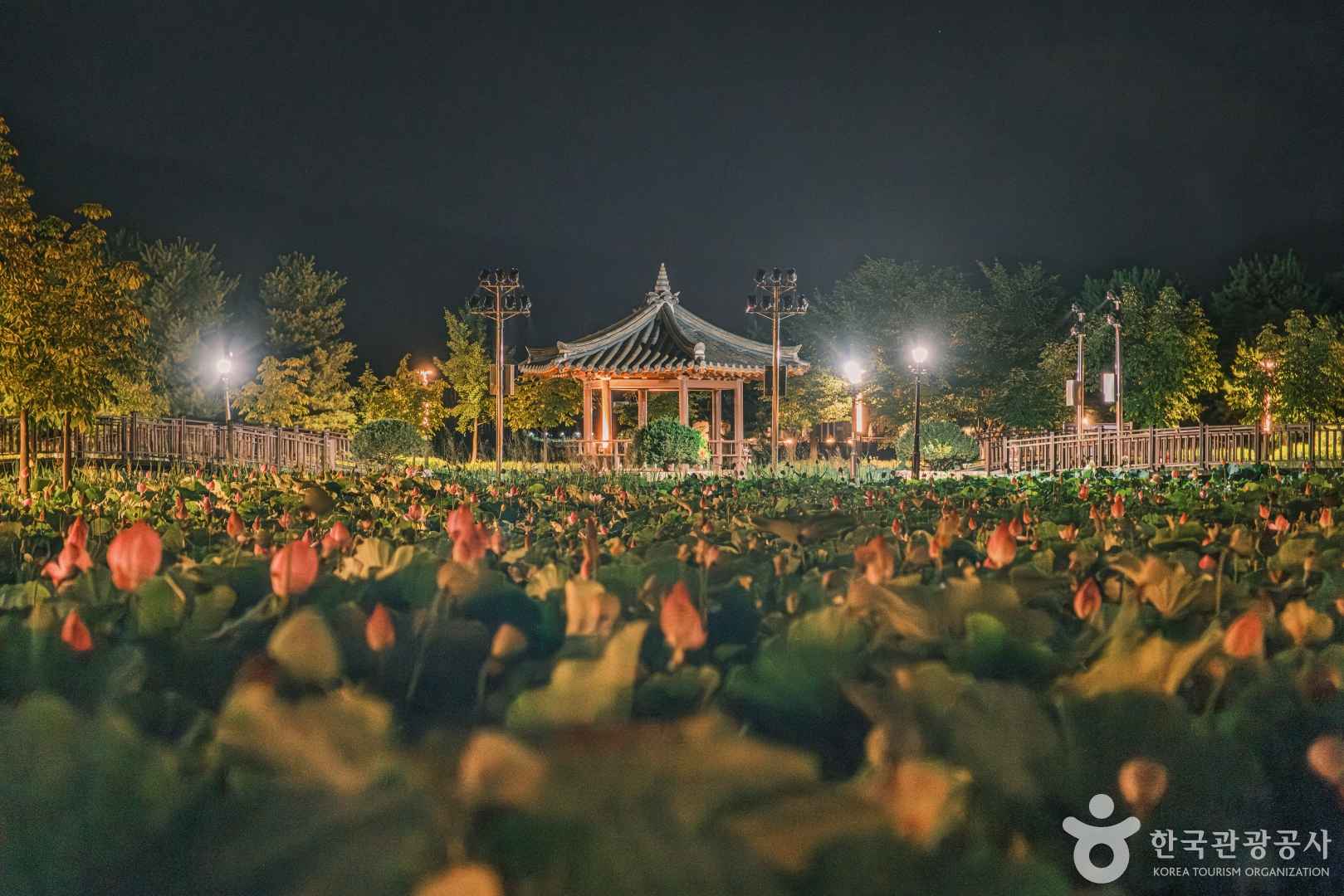 신정호관광지