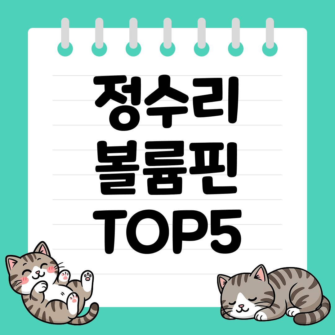 하루 종일 살아있는 뿌리볼륨! 정수리 볼륨핀 추천 순위 TOP5