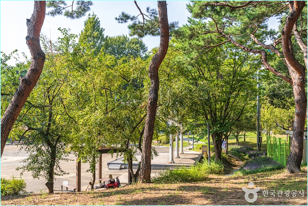 공원 중앙의 큰 나무를 향해 올라가는 돌계단과 주변의 쉼터 벤치.