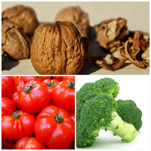 컵라면이 남성의 생식능력에 미치는 충격적 진실