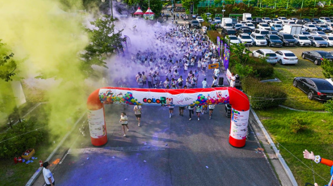 컬러레이스 관련 이미지