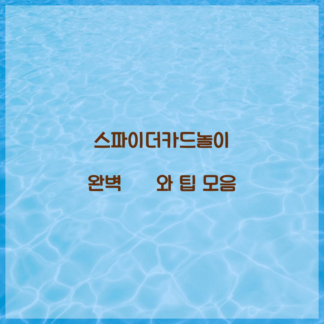 스파이더카드놀이