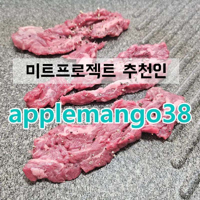 미트프로젝트-추천인