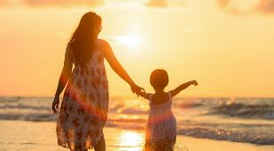 입양 조건 절차 확인하기