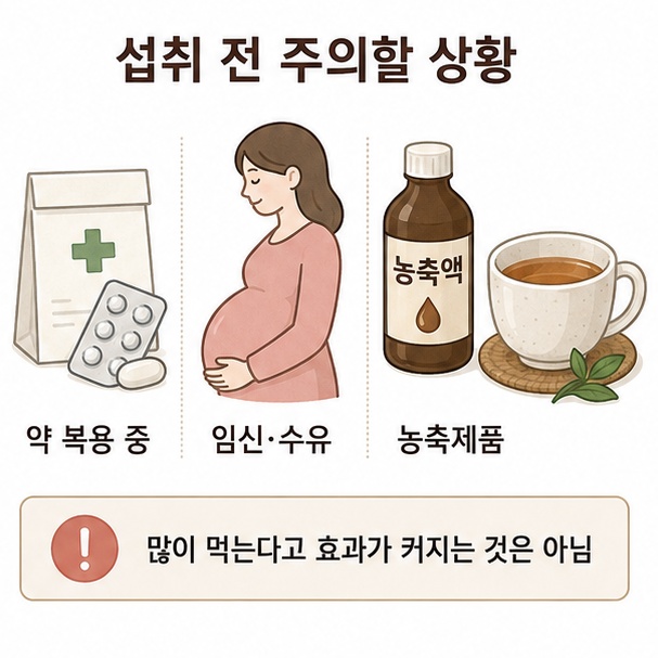 약을 복용하거나 임신·수유 중인 경우와 생강 농축제품을 섭취할 때 주의가 필요함을 보여주는 이미지