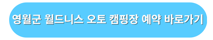 영월군 월드니스 오토 캠핑장 예약 바로가기