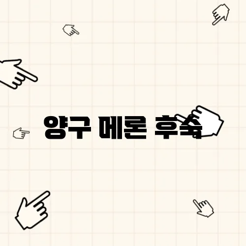 양구 메론 후숙