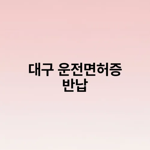 대구 운전면허증 반납