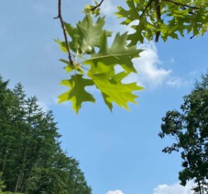 동두천 자연휴양림 숲나들e 국내 여행지 추천 관련사진