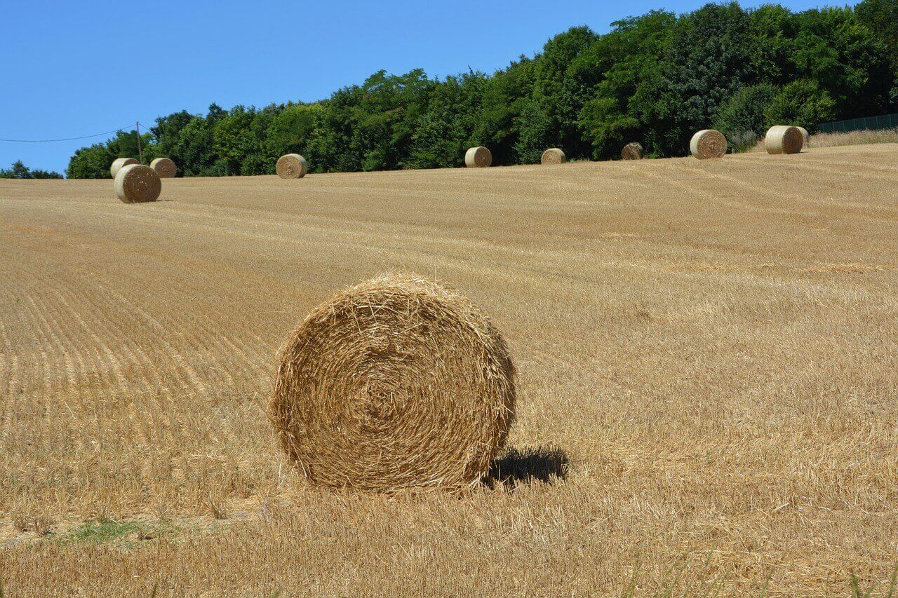 농지 연금 신청 대상 신청 방법 가이드