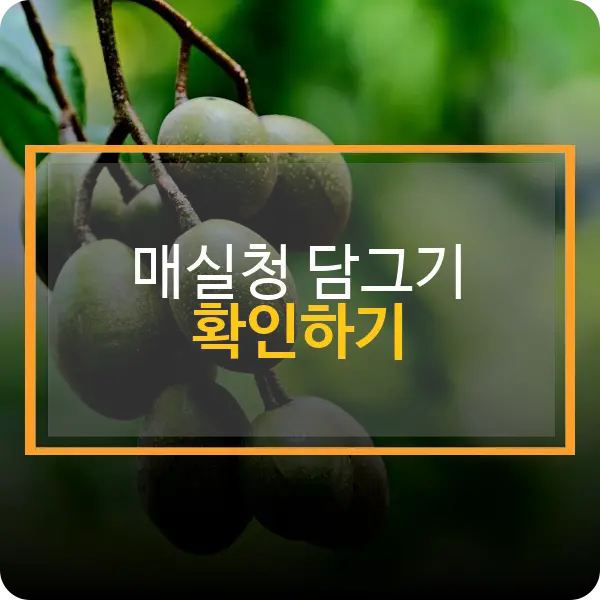 매실청 담그기