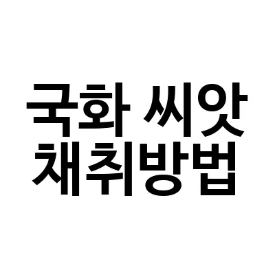 국화 씨앗 채취방법