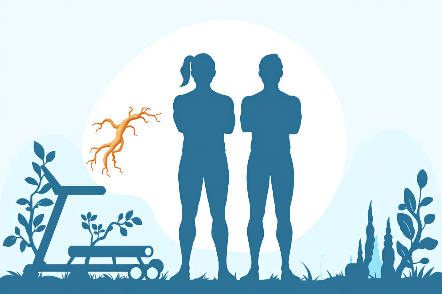 홍삼 사진입니다.