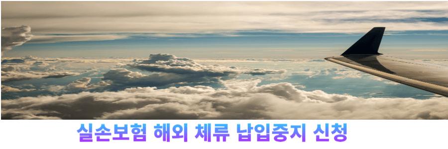 실손보험-해외체류-납입중지-신청방법-썸네일