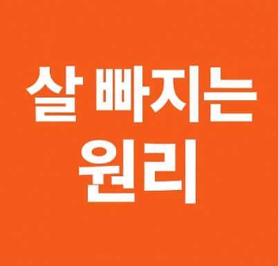 공복 상태의 몸속 대사 변화
