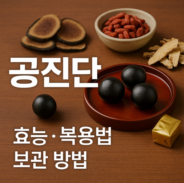 공진단의 효능과 복용법, 보관 방법을 설명하는 대표 이미지