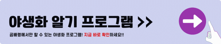 곰배령 야생화 알기 프로그램