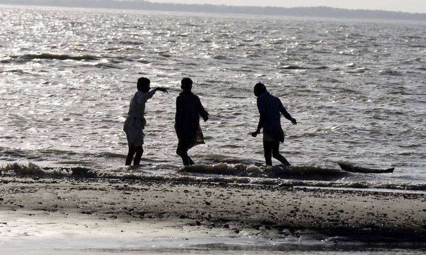 보령 머드 축제