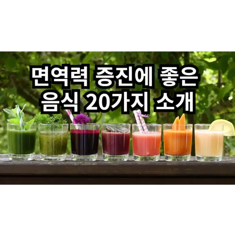 면역력 증진에 좋은 음식 20가지 소개